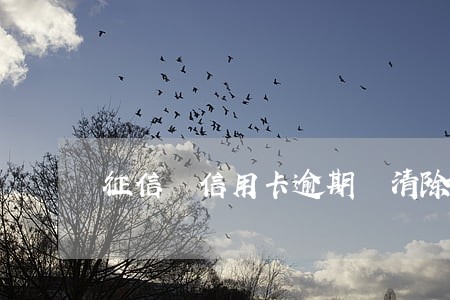 征信 信用卡逾期 清除 征信 信用卡逾期 清除